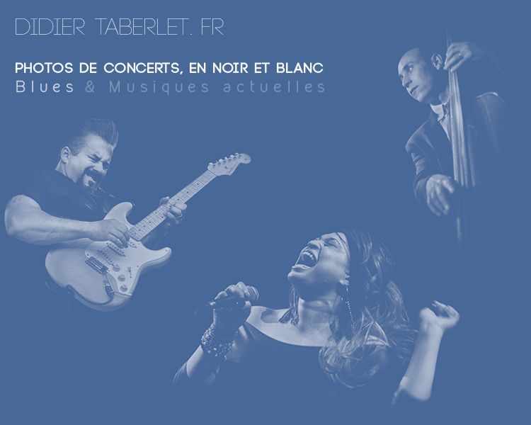 Didier TABERLET. Fr - Photos de Concerts :  Blues & Musiques actuelles, en Noir et Blanc | Photographe concert - Dijon (Bourgogne) 